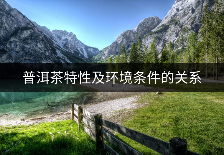 普洱茶特性及環(huán)境條件的關(guān)系 普洱茶特性及環(huán)境條件的關(guān)系