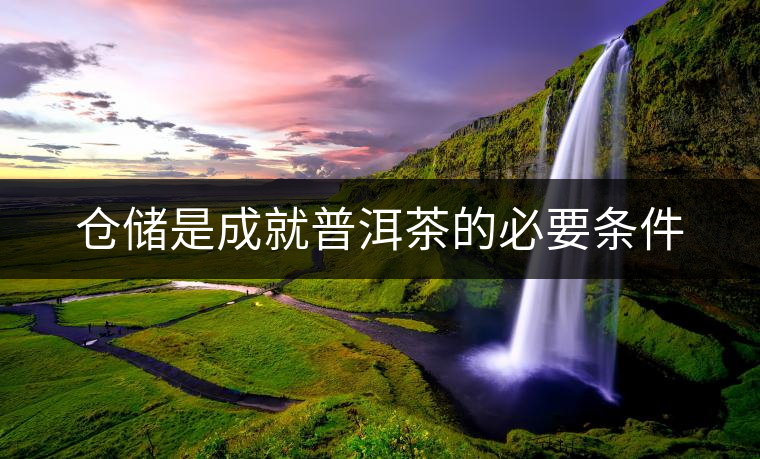 倉(cāng)儲(chǔ)是成就普洱茶的必要條件