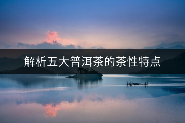 解析五大普洱茶的茶性特點 解析五大普洱茶的茶性特點