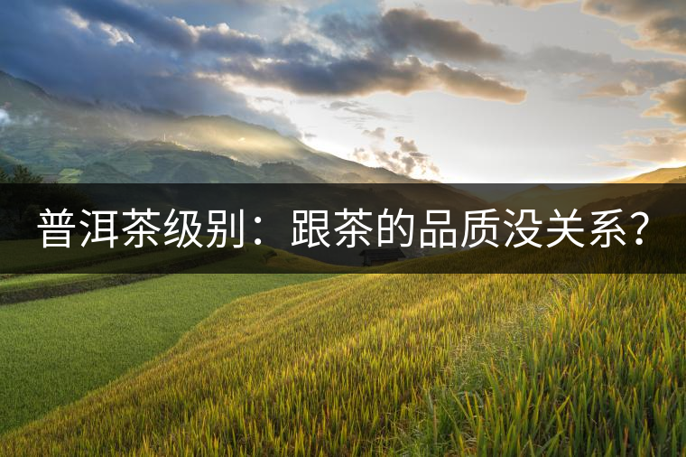 普洱茶級別：跟茶的品質(zhì)沒關系？