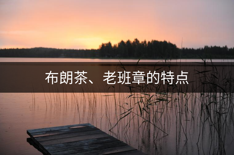 布朗茶、老班章的特點(diǎn)