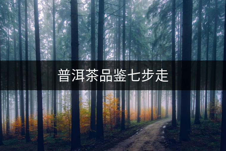 普洱茶品鑒七步走 普洱茶品鑒七步走
