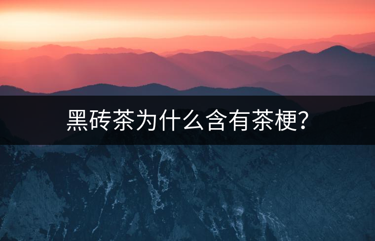 黑磚茶為什么含有茶梗？