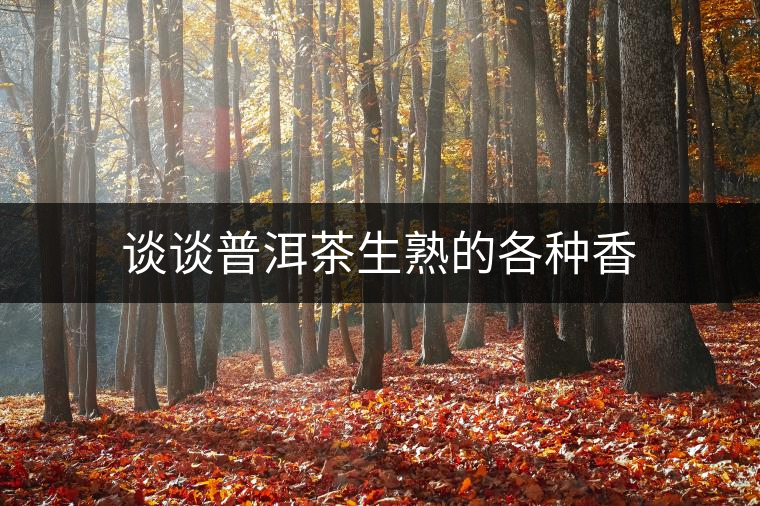 談?wù)勂斩枭斓母鞣N香 談?wù)勂斩枭斓母鞣N香