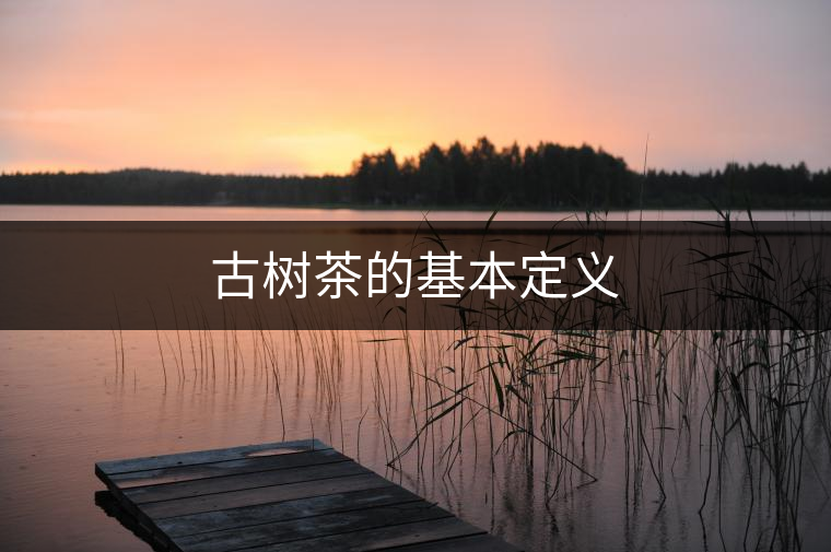 古樹茶的基本定義