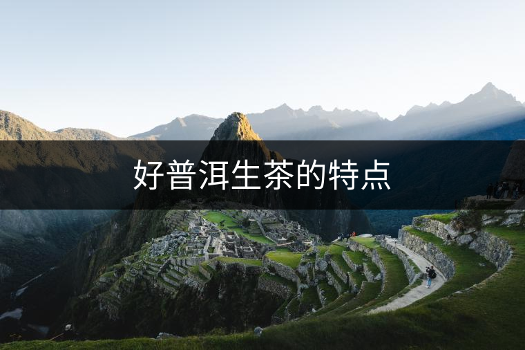 好普洱生茶的特點