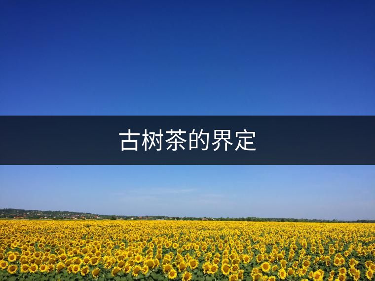 古樹茶的界定 古樹茶的界定