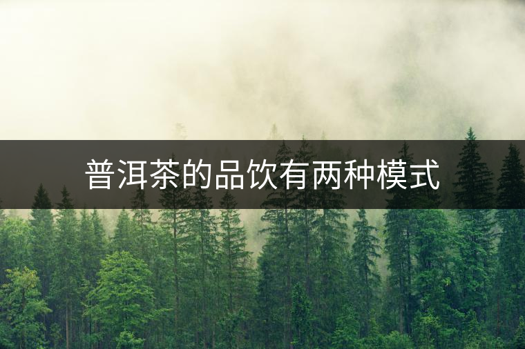 普洱茶的品飲有兩種模式