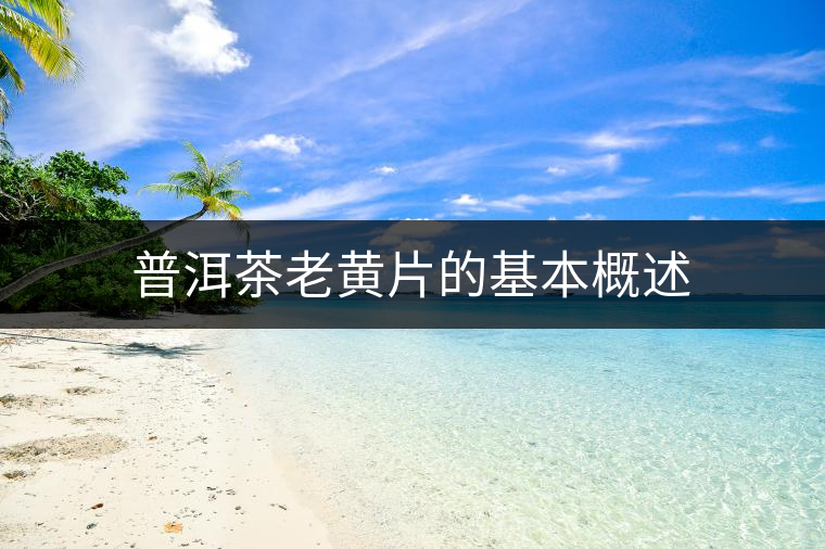 普洱茶老黃片的基本概述 普洱茶老黃片的基本概述