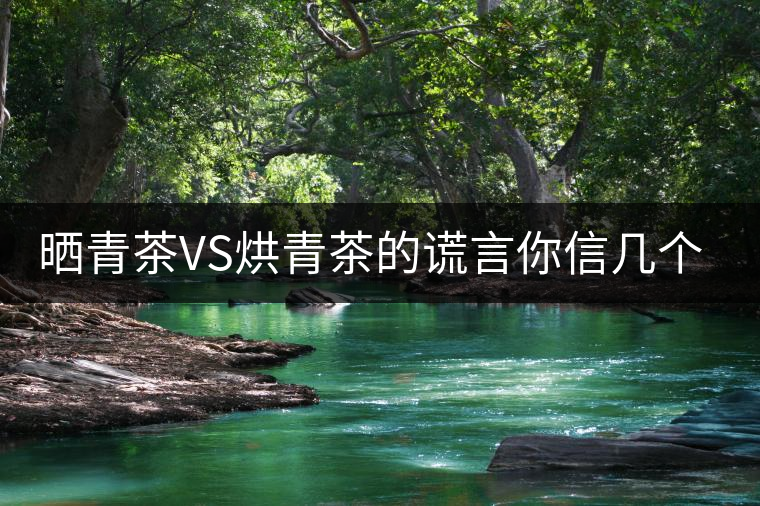 曬青茶VS烘青茶的謊言你信幾個(gè)？