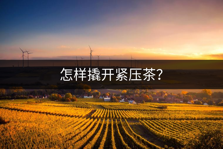 怎樣撬開緊壓茶？