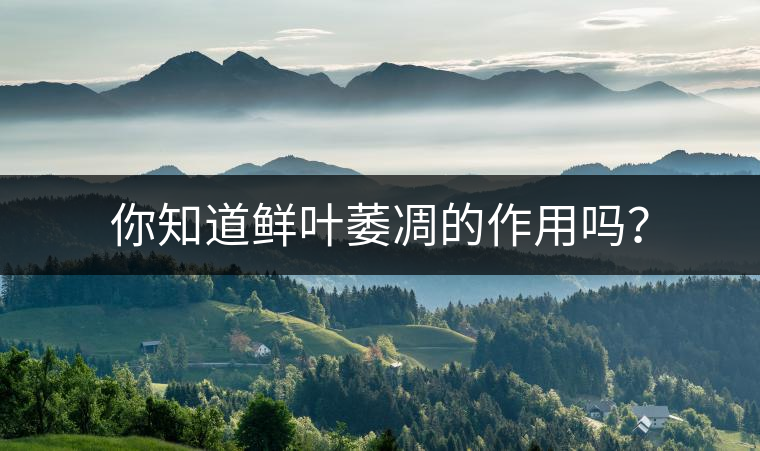 你知道鮮葉萎凋的作用嗎？