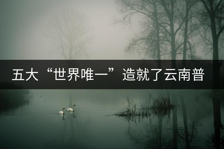 五大“世界唯一”造就了云南普洱茶的獨一無二 五大“世界唯一”造就了云南普洱茶的獨一無二