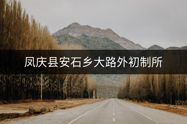 鳳慶縣安石鄉(xiāng)大路外初制所 鳳慶縣安石鄉(xiāng)大路外初制所