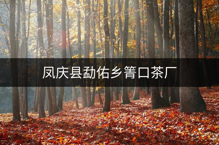 鳳慶縣勐佑鄉(xiāng)箐口茶廠 鳳慶縣勐佑鄉(xiāng)箐口茶廠
