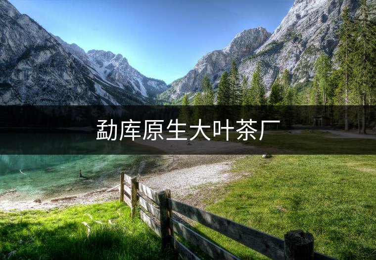 勐庫(kù)原生大葉茶廠 勐庫(kù)原生大葉茶廠