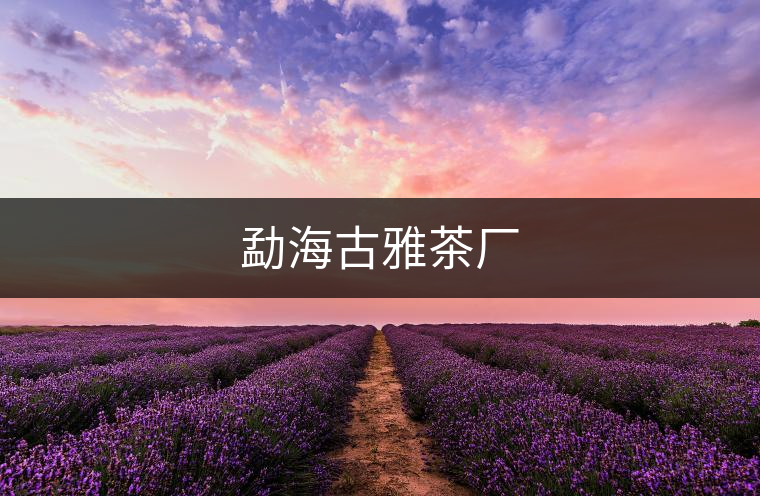 勐海古雅茶廠 勐海古雅茶廠