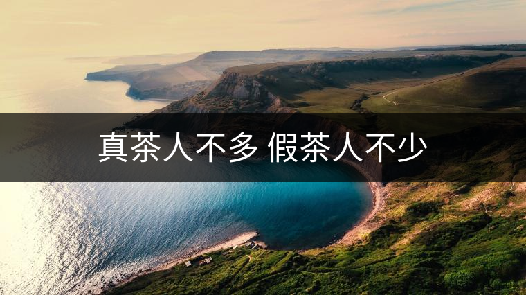 真茶人不多 假茶人不少 真茶人不多 假茶人不少