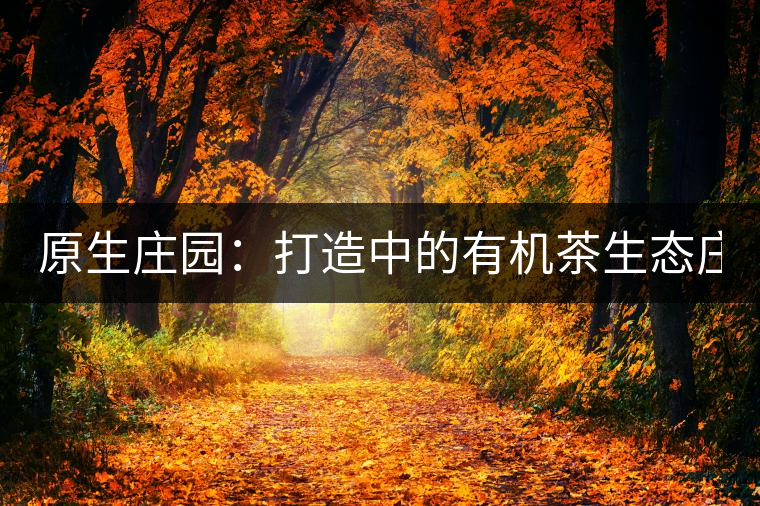 原生莊園:打造中的有機茶生態(tài)莊園(一) 原生莊園:打造中的有機茶生態(tài)莊園(一)