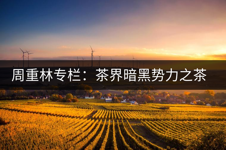 周重林專欄：茶界暗黑勢(shì)力之茶混