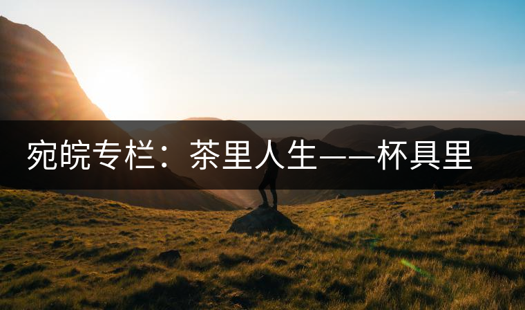 宛皖專欄:茶里人生——杯具里的苦澀與甘甜 宛皖專欄:茶里人生——杯具里的苦澀與甘甜