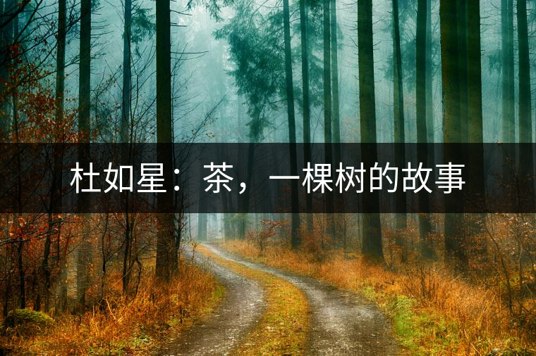 杜如星：茶，一棵樹的故事