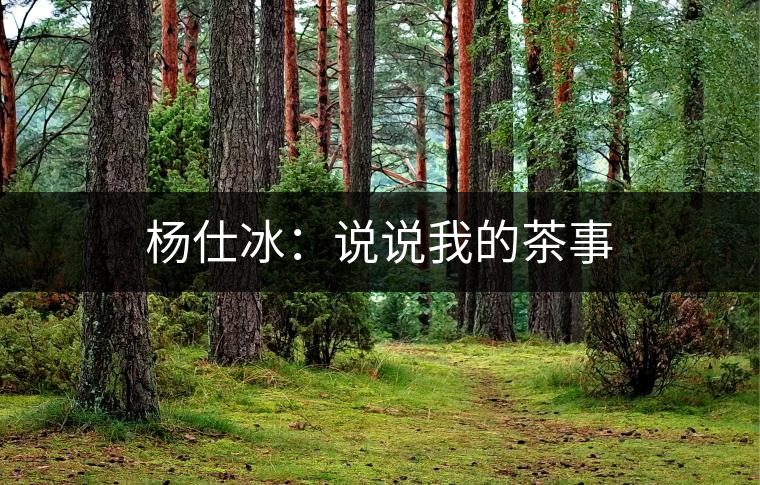 楊仕冰：說(shuō)說(shuō)我的茶事