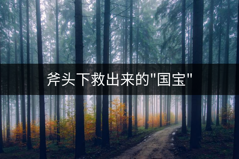 斧頭下救出來(lái)的 斧頭下救出來(lái)的