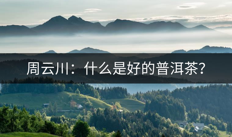 周云川：什么是好的普洱茶？
