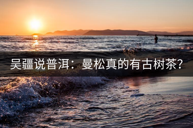 吳疆說普洱：曼松真的有古樹茶？