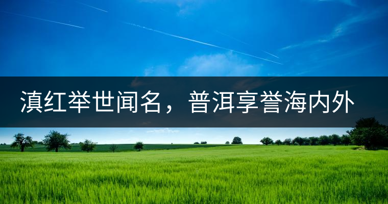 滇紅舉世聞名，普洱享譽(yù)海內(nèi)外丨專家座談——虞富蓮