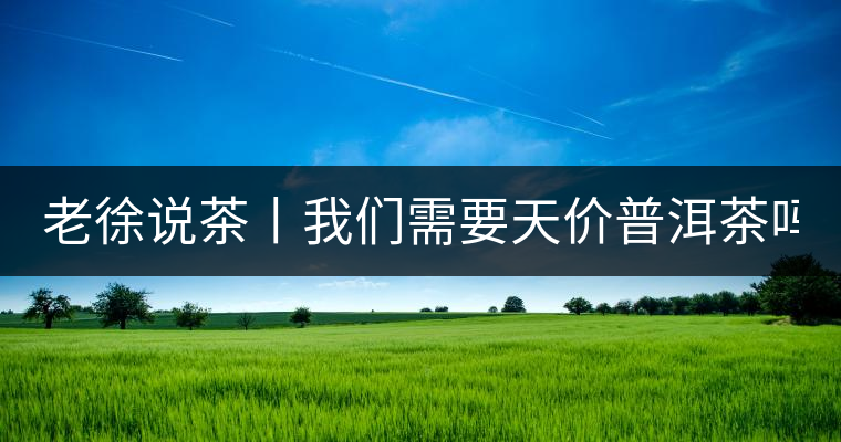 老徐說茶丨我們需要天價普洱茶嗎？