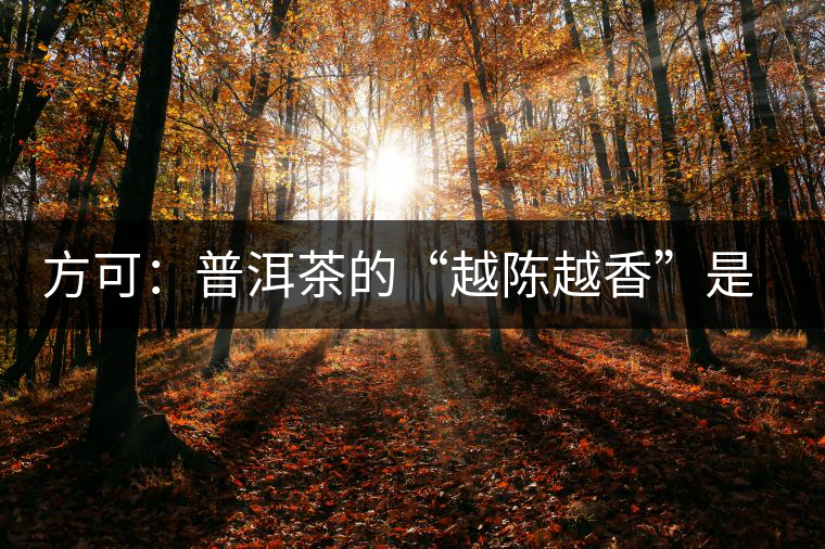 方可：普洱茶的“越陳越香”是有條件、有技術(shù)的