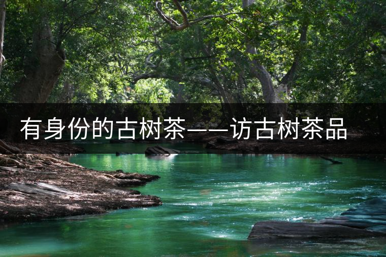 有身份的古樹(shù)茶——訪古樹(shù)茶品茶人中山市茂名商會(huì)創(chuàng)會(huì)會(huì)長(zhǎng)崔大洪