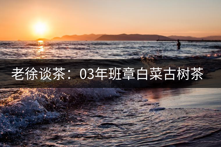 老徐談茶：03年班章白菜古樹(shù)茶品鑒報(bào)告