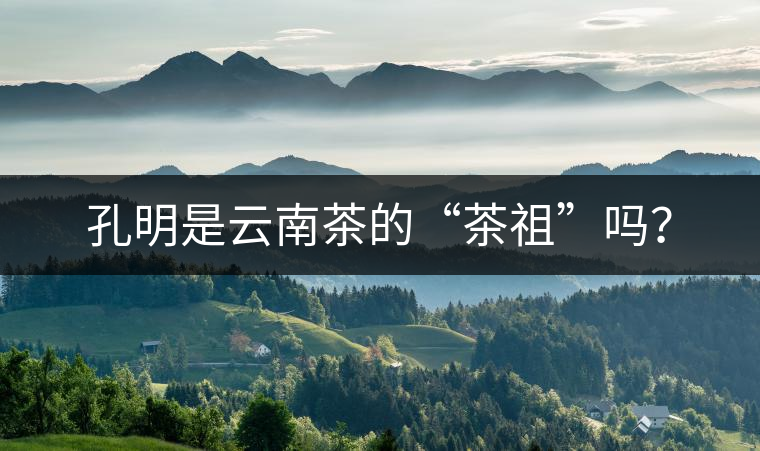 孔明是云南茶的“茶祖”嗎？
