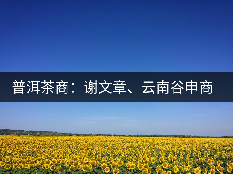 普洱茶商:謝文章、云南谷申商貿(mào)有限公司總經(jīng)理 普洱茶商:謝文章、云南谷申商貿(mào)有限公司總經(jīng)理