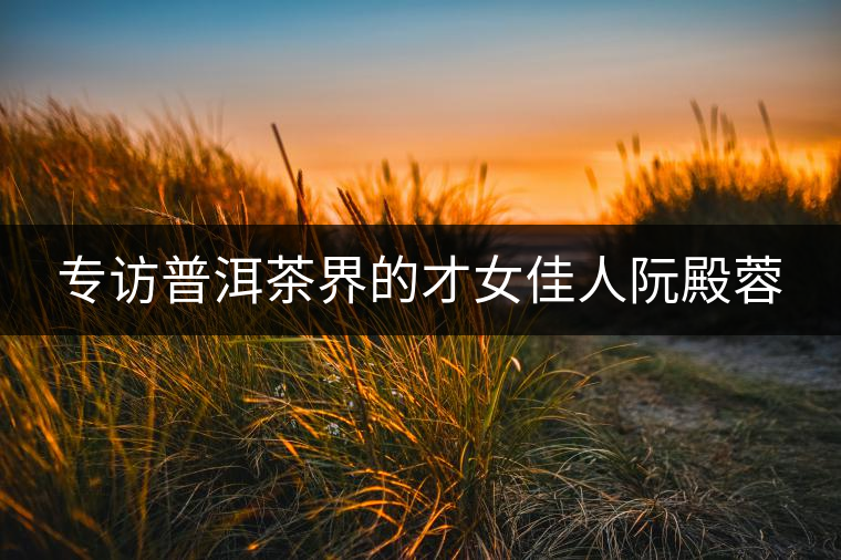 專(zhuān)訪(fǎng)普洱茶界的才女佳人阮殿蓉