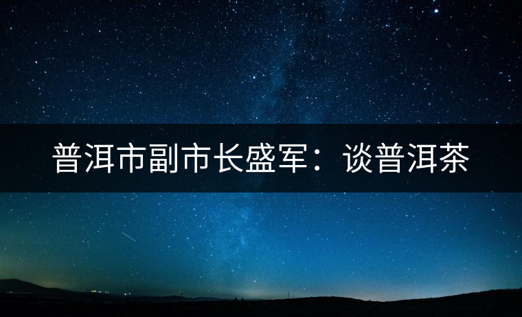 普洱市副市長(zhǎng)盛軍：談普洱茶