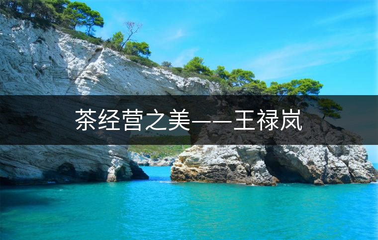 茶經(jīng)營(yíng)之美——王祿嵐