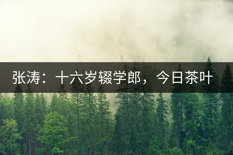 張濤：十六歲輟學(xué)郎，今日茶葉中堅(jiān)