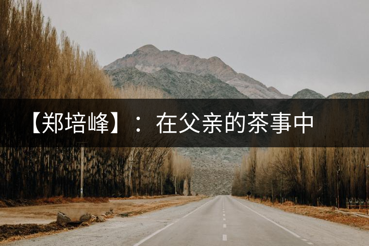 【鄭培峰】：在父親的茶事中成長(zhǎng)