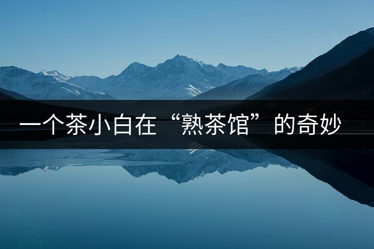 一個茶小白在“熟茶館”的奇妙體驗(yàn)之旅 一個茶小白在“熟茶館”的奇妙體驗(yàn)之旅