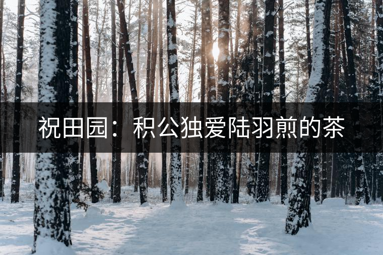 祝田園：積公獨(dú)愛(ài)陸羽煎的茶