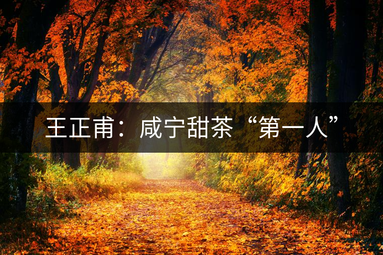 王正甫：咸寧甜茶“第一人”