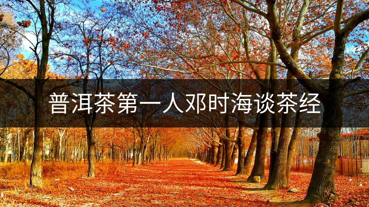 普洱茶第一人鄧時海談茶經(jīng)