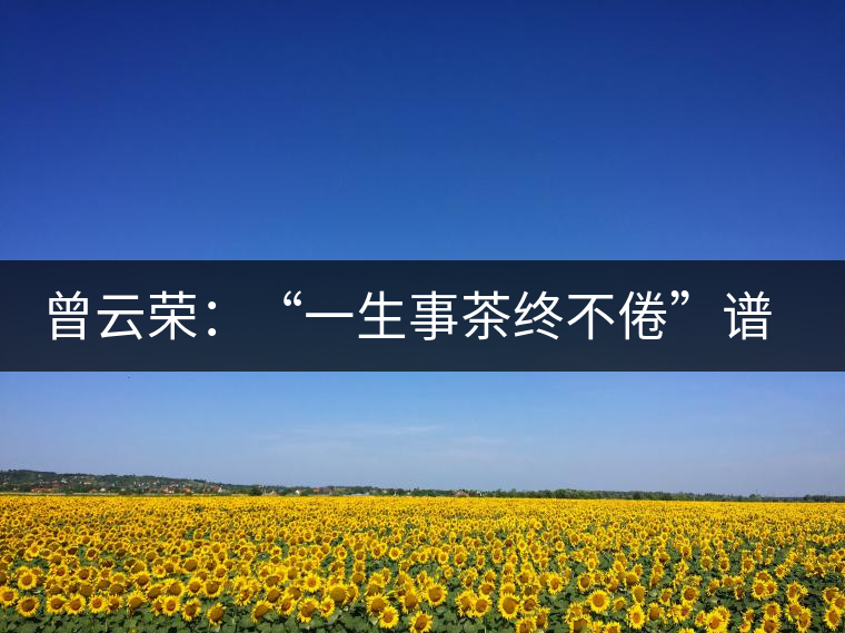 曾云榮：“一生事茶終不倦”譜寫(xiě)絢麗人生