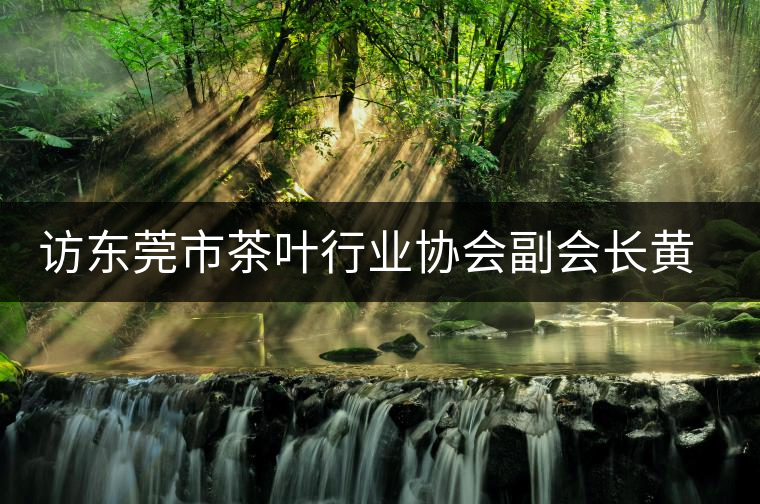 訪東莞市茶葉行業(yè)協會副會長黃志芳 訪東莞市茶葉行業(yè)協會副會長黃志芳