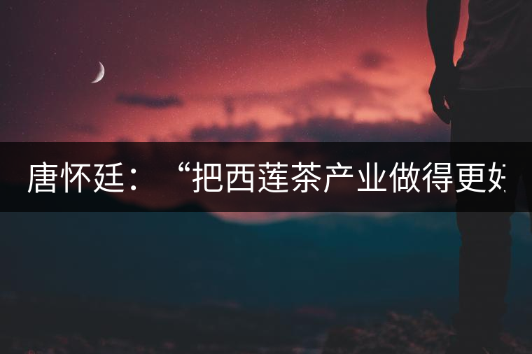 唐懷廷：“把西蓮茶產(chǎn)業(yè)做得更好”
