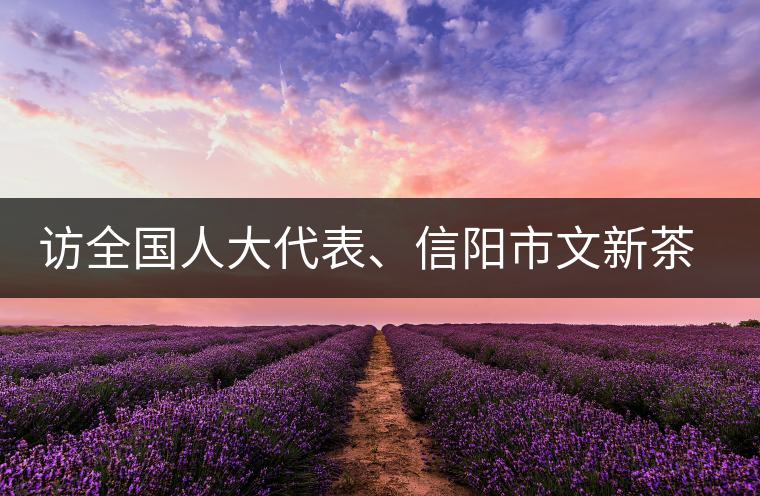 訪全國人大代表、信陽市文新茶葉有限責任公司董事長劉文新